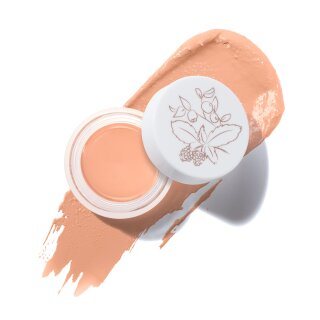 Fruit Pigments Long Last Concealer + Super Fruits - Golden Peach