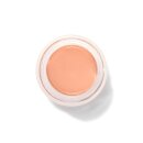 Fruit Pigments Long Last Concealer + Super Fruits - Golden Peach