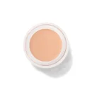 Fruit Pigments Long Last Concealer + Super Fruits - White Peach