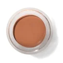 Fruit Pigments Long Last Concealer + Super Fruits - Toffee