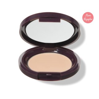 Fruit Pigments Long Last Concealer + Super Fruits - Alpine Rose