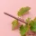 Creamy Long Last Lip Liner - Cognac