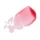 Fruit Pigments Lip Gloss Pomegranate Wine