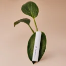 LASHFOOD Eyelash Enhancing Serum - 2ml