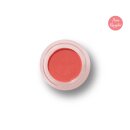 Lip & Cheek Tint